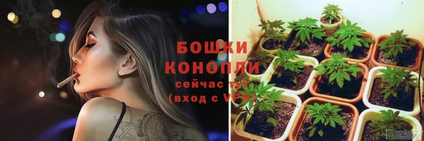 трава Аркадак