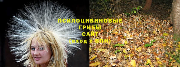 спиды Алексеевка