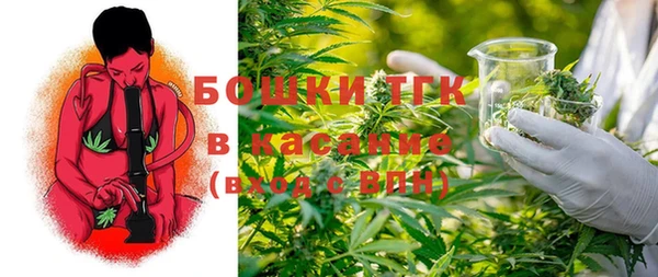 твердый Алзамай