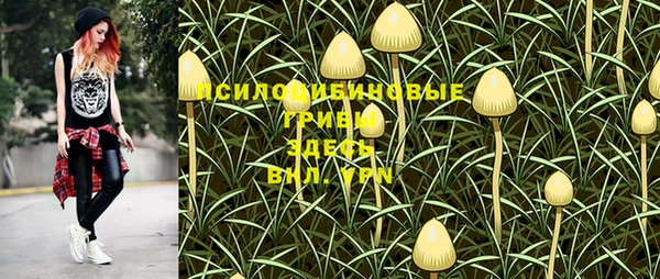 спиды Алексеевка
