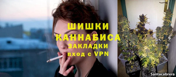 твердый Алзамай