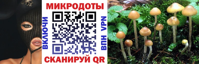 Псилоцибиновые грибы Magic Shrooms  Буй 